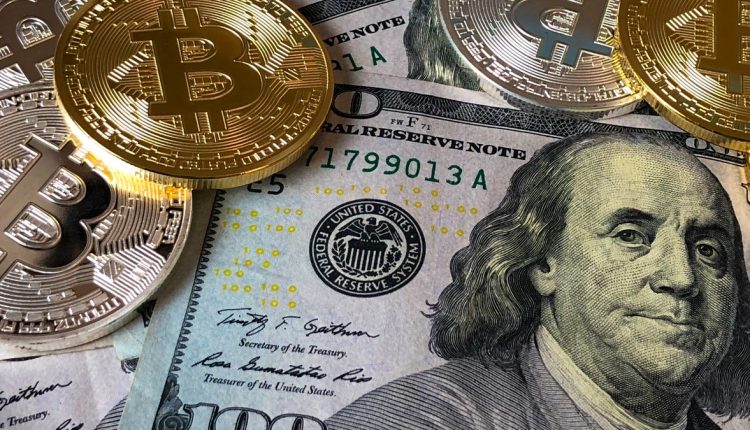 A Basic Guide To Crypto Wallets Where Digital Currencies Are Moving