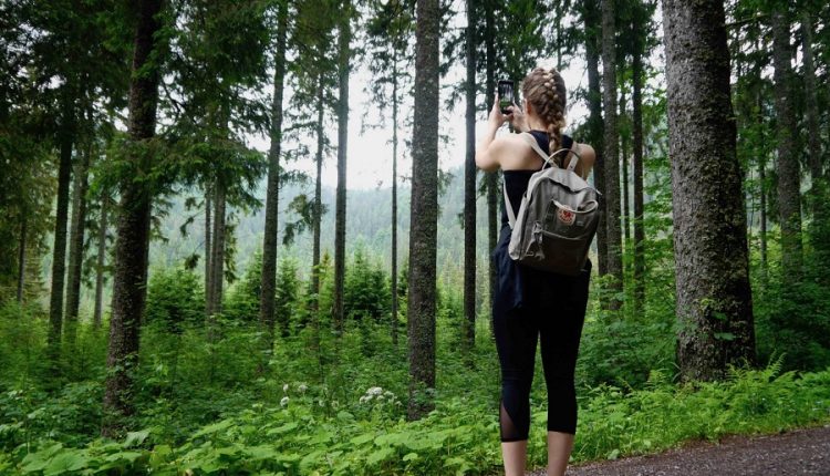 Black Forest Germany